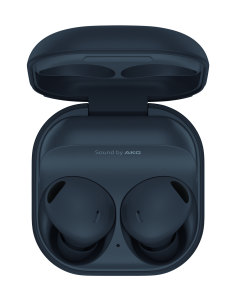 Samsung Galaxy Buds2 Pro Grey